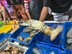 -仙本那小型鱼市