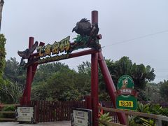 -广州长隆飞鸟乐园