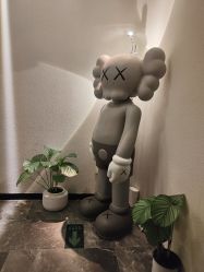 -玛莲朵·海菲秀冰珀科