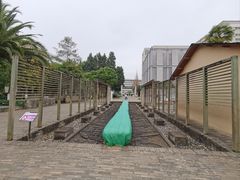 -云南师范大学(一二一西南联大校区)