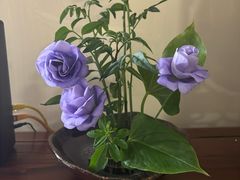 -来伊份(星湖街店)