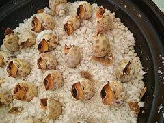 -巽寮印象美食部落餐厅·海鲜·地方特色菜(惠州体验店)