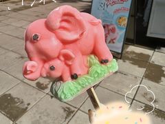 -秦皇岛野生动物园