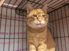 -嘟宝宠物生活馆(白桦林居店)