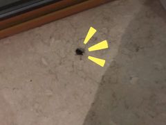 -苏体天云湖运动度假村