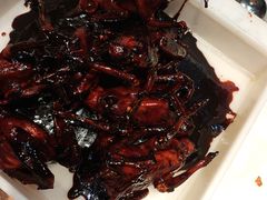 -鸽子窝(黄村店)