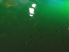 -宝丽金大酒店·洗浴中心