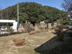 -同里国家湿地公园