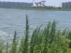 -启东黄金海滩景区