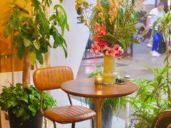 -蝶舍·MAISON PAPILLON