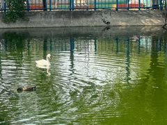 -北京鹿世界主题园