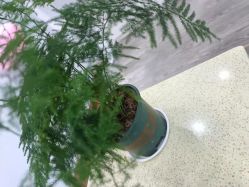 -痘院长·祛痘·科技美肤