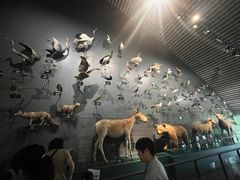 -中国湿地博物馆