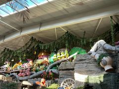 -南宫五洲植物乐园