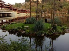 -重庆彩云湖湿地公园