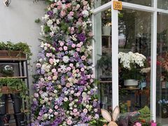 -FEI FEI FLOWER鲜花店·气球派对·宝宝宴布置(虹口德必运动Loft店)