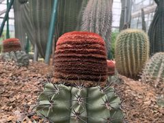 -南山植物园