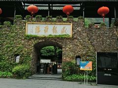 -藏龙百瀑风景区