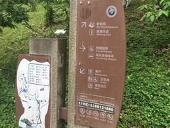 -都江堰中华大熊猫苑