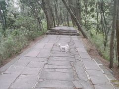 -金堂县云顶石城风景区