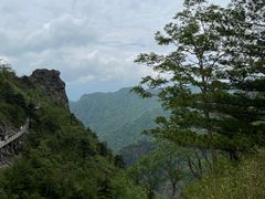 -朱雀国家森林公园