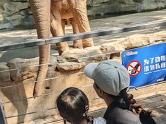 -深圳野生动物园