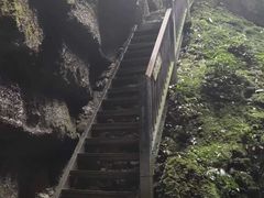 -梦幻奥陶纪景区