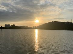 -顺峰山公园