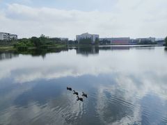 -四川大学(江安校区)