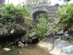 -千岛湖石林