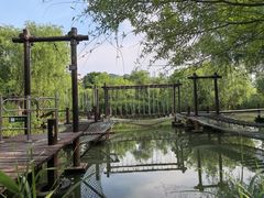-长兴太湖图影湿地文化园