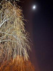 -Oasis Beauty水磨坊科技美肤中心