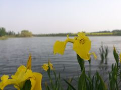 -东郊湿地公园
