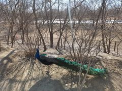 -北京麋鹿生态实验中心