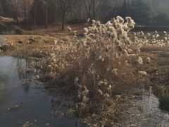 -北京宽沟会议中心