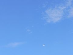 -火炬国际会展中心