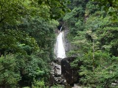 -花岩国家森林公园