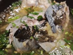 -马村鱼头