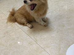 -麦当劳(杭州西湖银泰百货店)