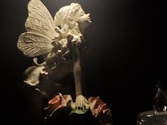 -雪灵魔法世界SHELLY’S TAROT(大良桂畔里店)