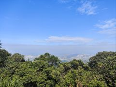 -黄埔油麻山森林公园