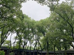 -天一阁博物院