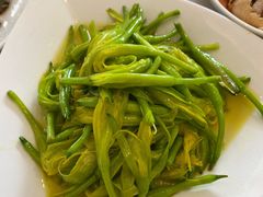 清炒黄花-华盛丰温州大排档(东三环南路店)