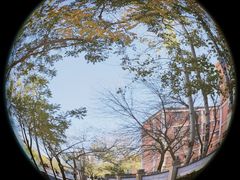 -石景山区图书馆(八角南路)