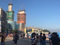 -古来思鱼饼