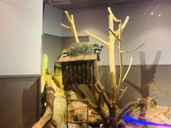 -未来动物城动物主题公园(大悦城店)