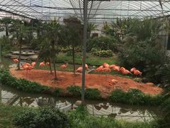 -无锡动物园·太湖欢乐园