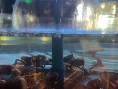 -海立阁海鲜江浙菜(漕河泾印象城店)