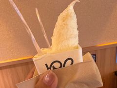 -野人先生现做冰淇淋(北京环宇荟店)