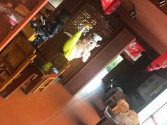 -猪角·闽南猪脚饭(厦门中医院店)
